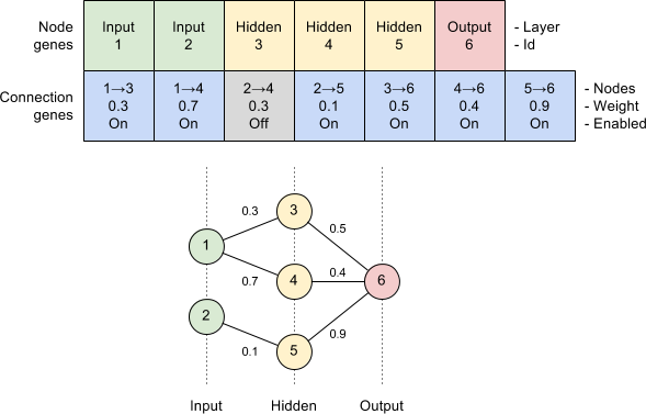 Genetic Encoding